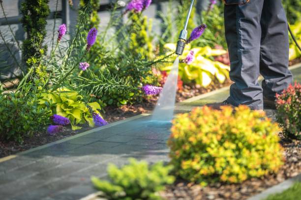 Best Gutter Cleaning  in St Matthews, KY